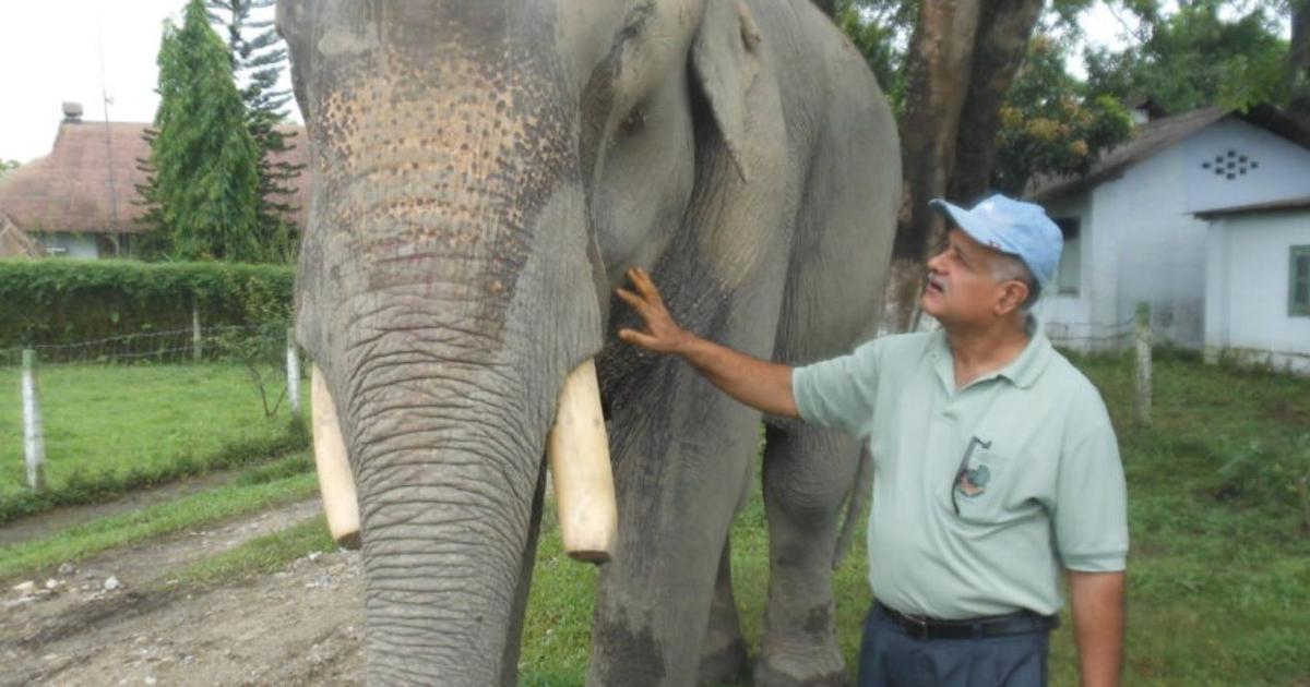 Dr. Sharma, an elephant doctor