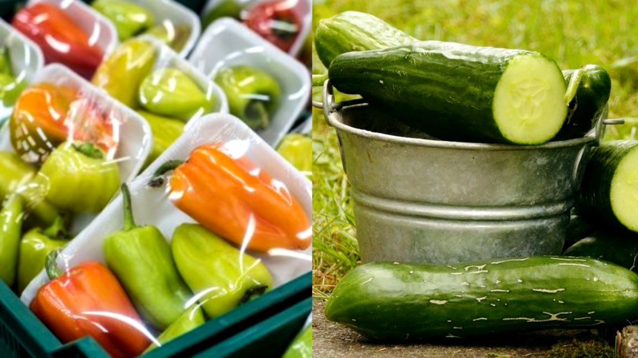 Food packaging from cucumber