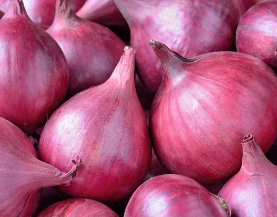 onion prices delhi ncr