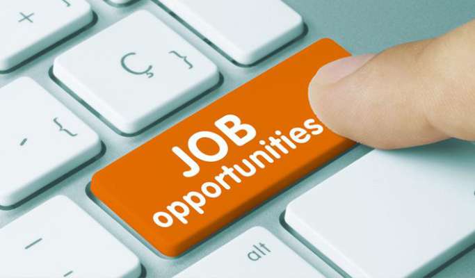 Policybazaar aims to create 4000 jobs in Jammu and Kashmir