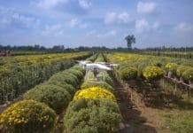 agriculture with drones