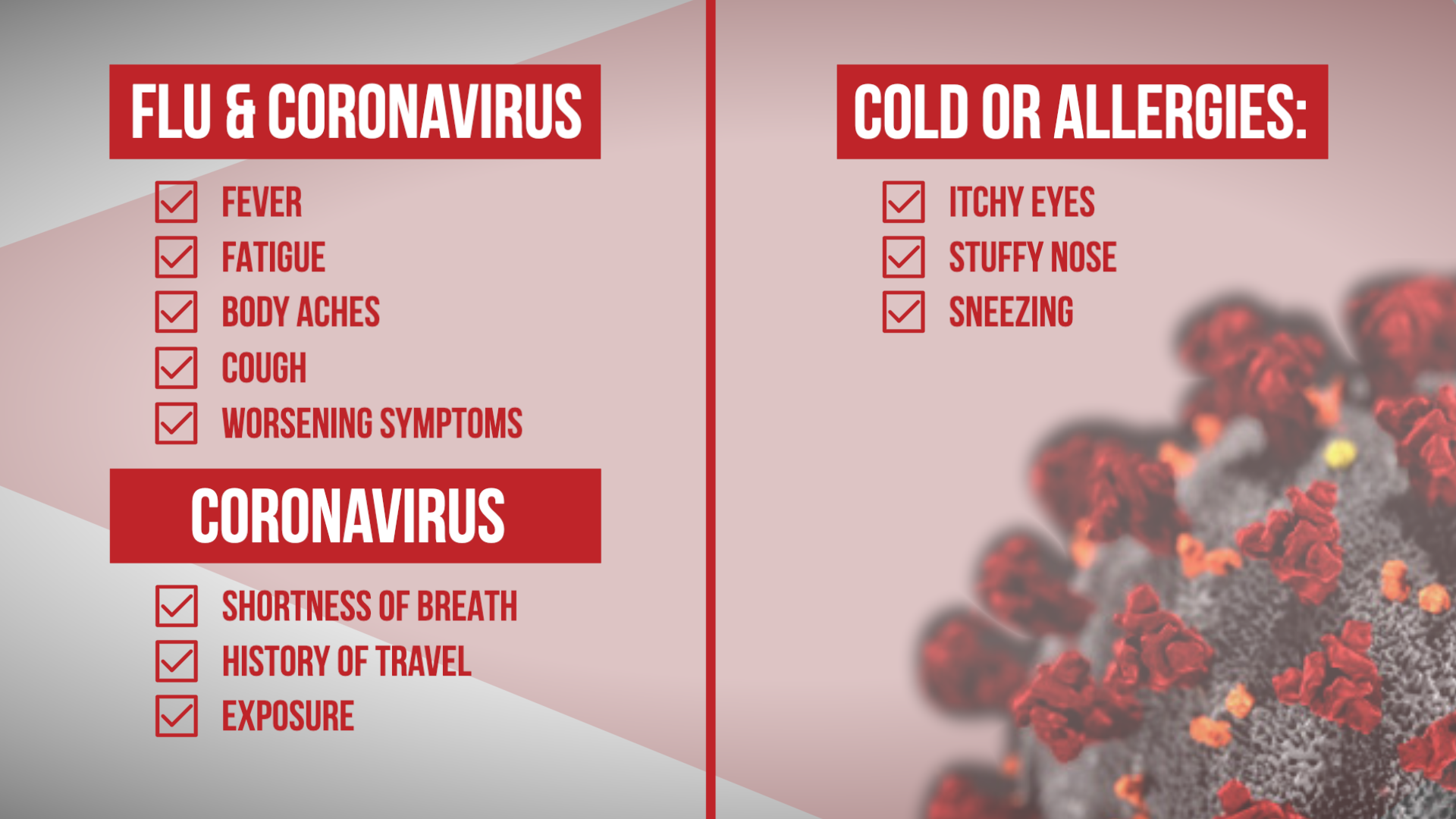 . The question arises how to distinguish between common cold and corona symptoms?