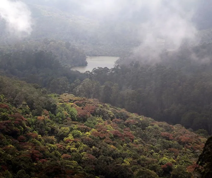 Kodaikanal hill stations 