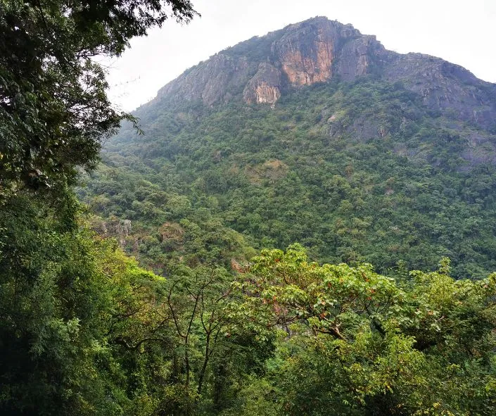 Kolli hill station Tamilnadu