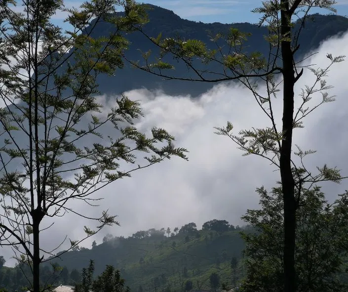 Connoor hill station in Tamilnadu