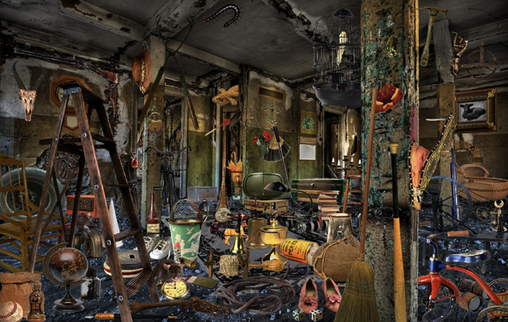 clean a Hoarder house
