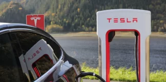 Elon Musk's Tesla Shares Jump-start 2022