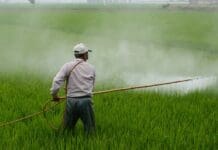 India’s ban on pesticides must wait until further notice