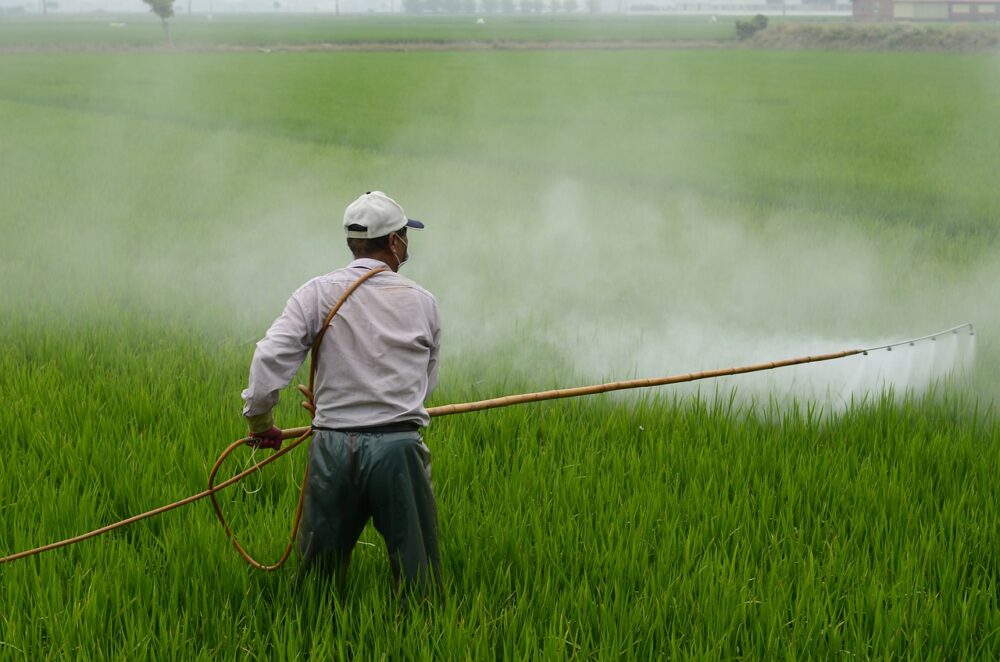 India’s ban on pesticides must wait until further notice