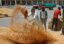 UAE bans wheat export from India