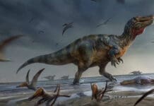 a 32 feet-long dinosaur discovered in England
