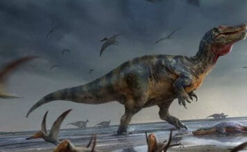 a 32 feet-long dinosaur discovered in England