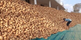 Bangladesh aid potatoes to Sri Lanka amid food crisis