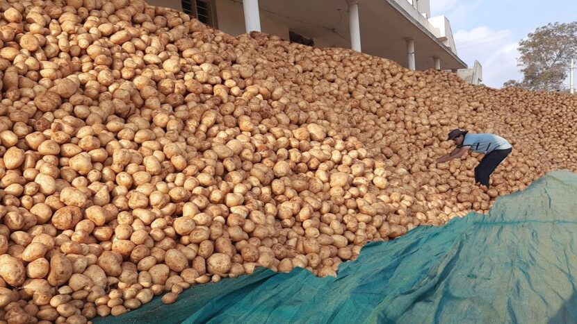 Bangladesh aid potatoes to Sri Lanka amid food crisis