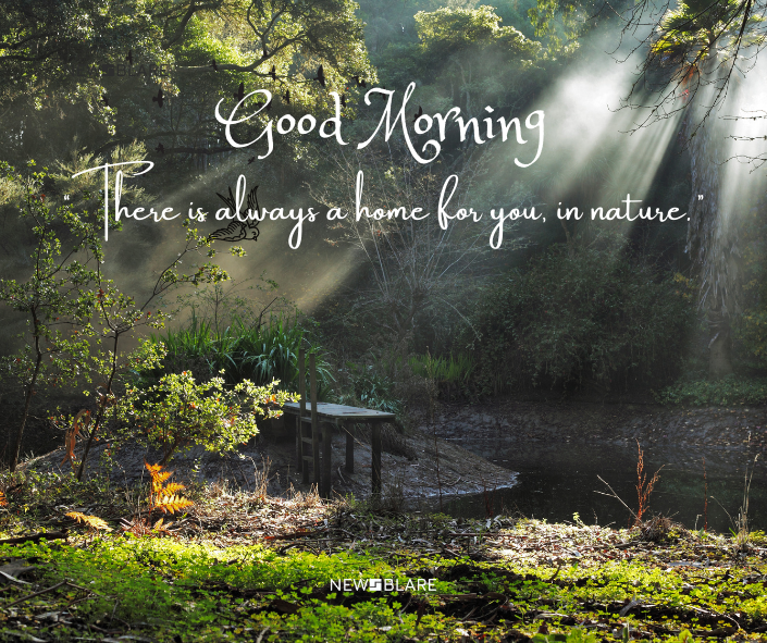 “There is always a home for you, in nature.”
Nature Good Morning Images