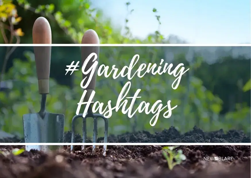 Gardening Hashtags for Instagram - Hashtags for Instagram