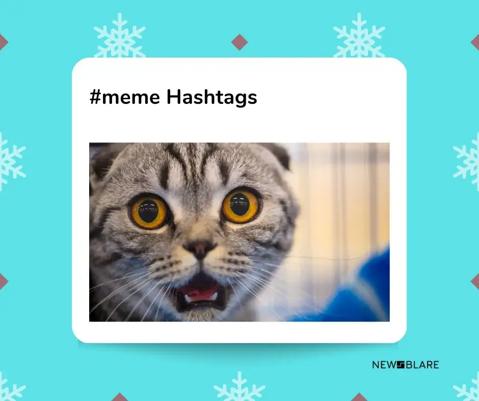 Meme Hashtags for Instagram