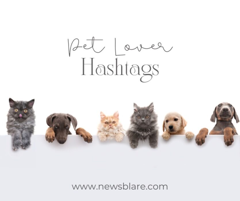 5. Pet Lover Hashtags for Instagram