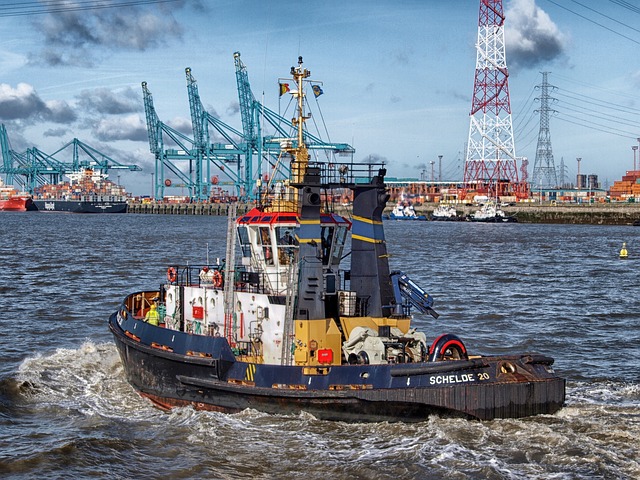 Adani ports