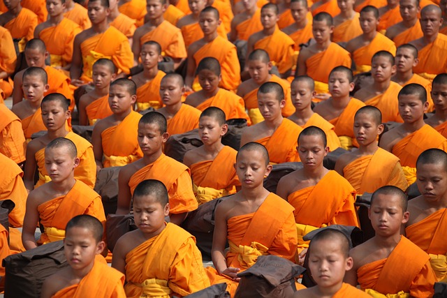 Decline buddhism in India