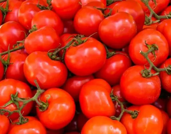 Tomato Prices surged
