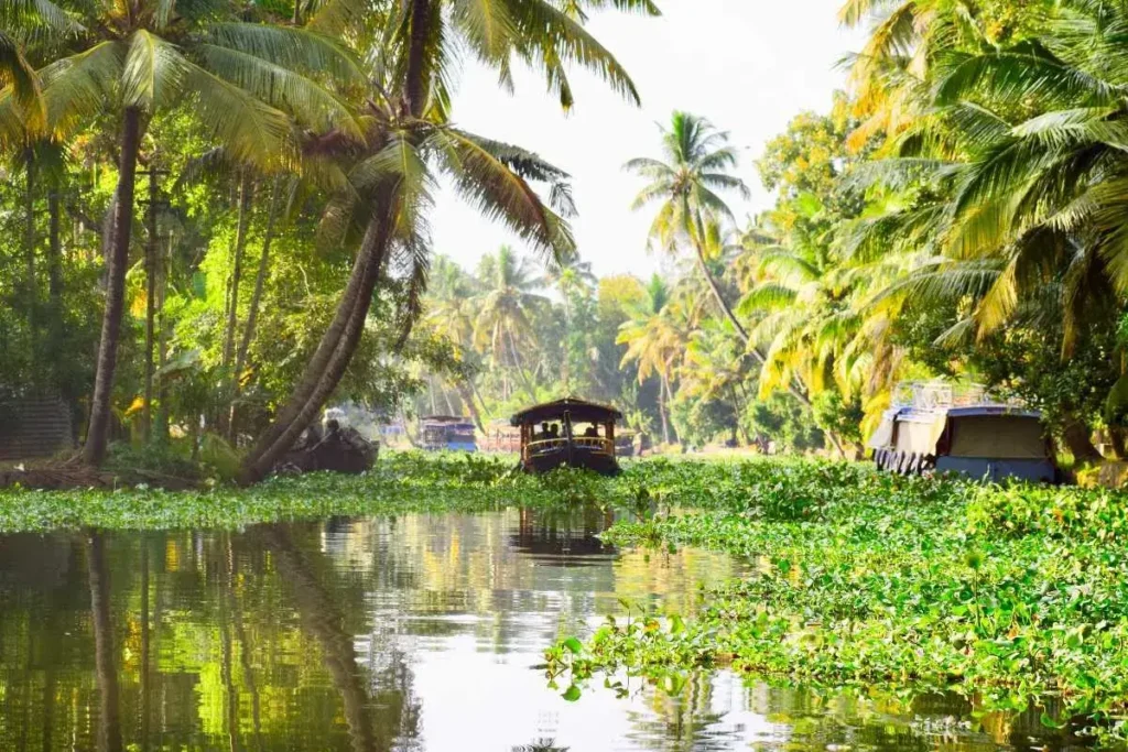 Alleppey, Kerala - Best Places for Honeymoon in India