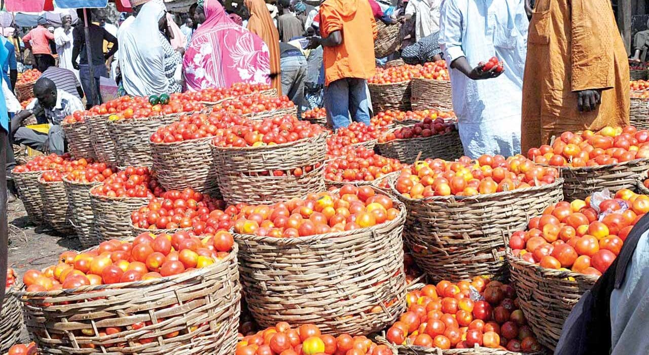 Inflation at 4.8% Tomato price shocks