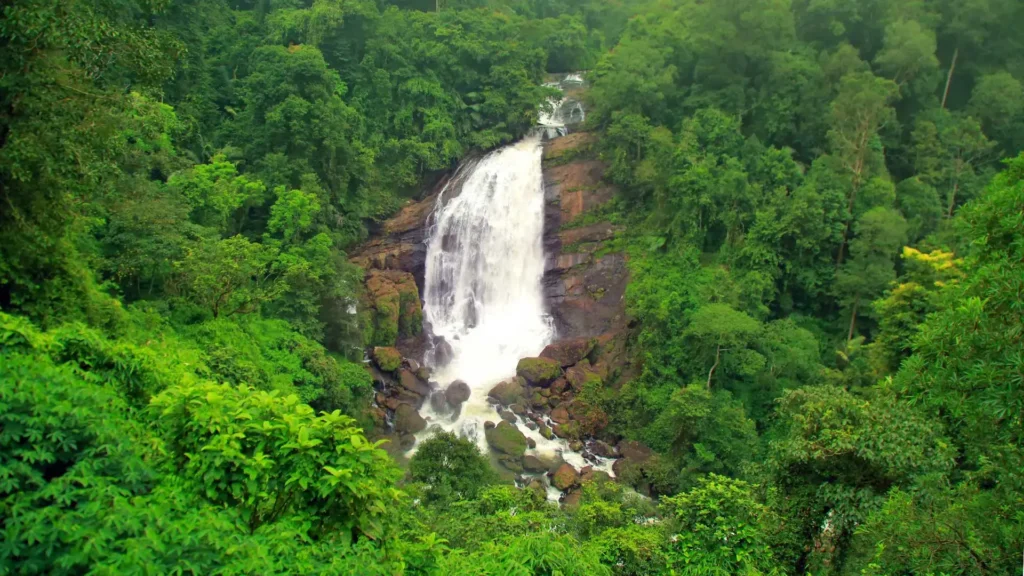 Valara Waterfalls - Best Places to Visit in Kerala