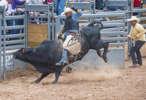 Bull riding