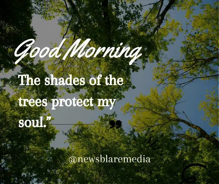 Just like the shades of tree protecting you from unwanted situations, nature protect you too.  Nature Good Morning Images