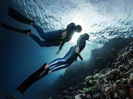 Free Diving