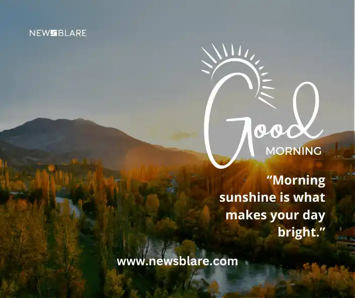 Morning sunshine is the best source of vitamin D. Moreover, it provides a calming vibe to your day and gives you the energy to work throughout and enjoy your day. Nature Good Morning Images