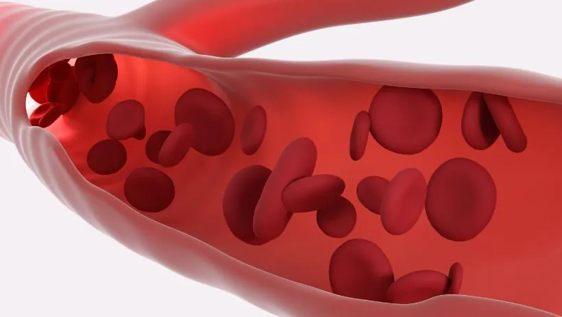 How to increase platelet count-2