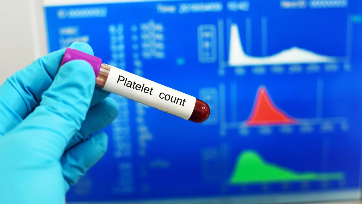 how to increase platelet count