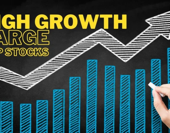 Best high growth large cap stocks