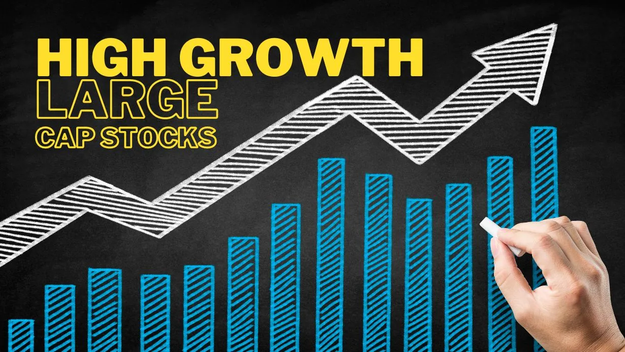 Best high growth large cap stocks