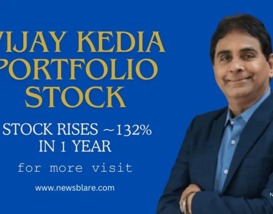 Vijay Kedia portfolio stock