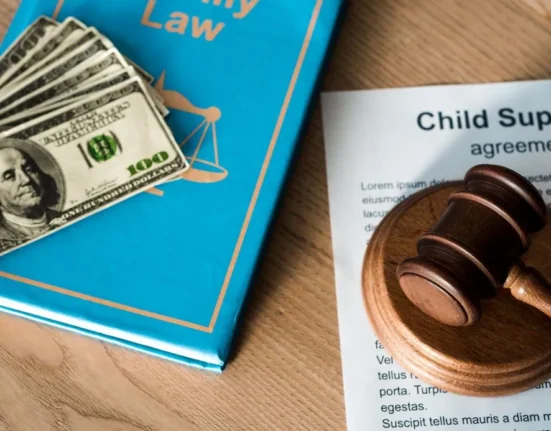 child support payment in California