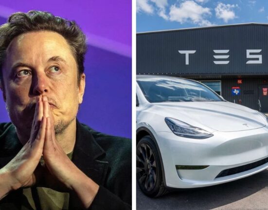 Indians asked for refund from Tesla as Elon Musk's promise was not fulfilled