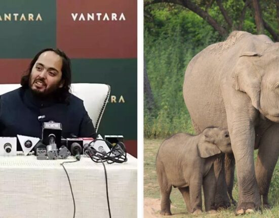 Anant Ambani's Vantara reaches out to Namibia, to save 700 wild animals and feed the hungry population