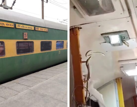 Snake found in Garib Rath Express: Are passengers safe in the Indian train?