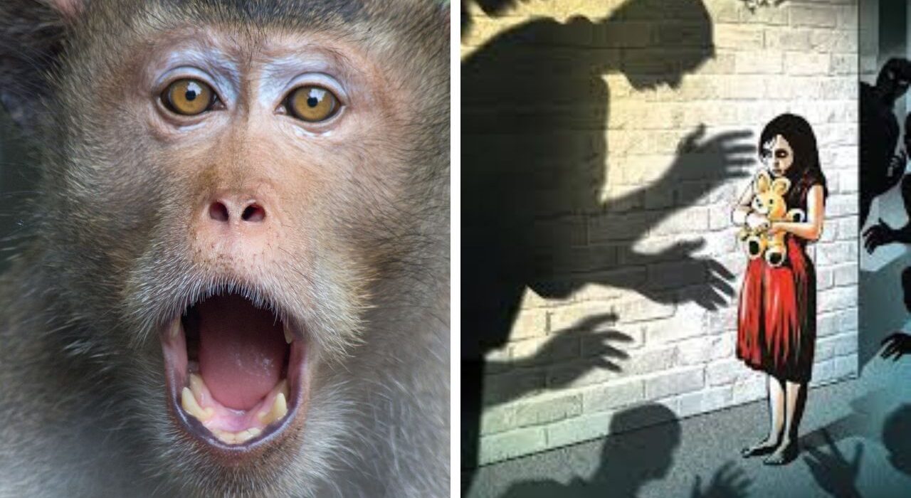 Sounds like story but is real! Monkey saved a 6-year-old girl from rape in Uttar Pradesh