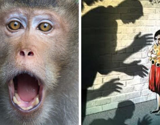 Sounds like story but is real! Monkey saved a 6-year-old girl from rape in Uttar Pradesh