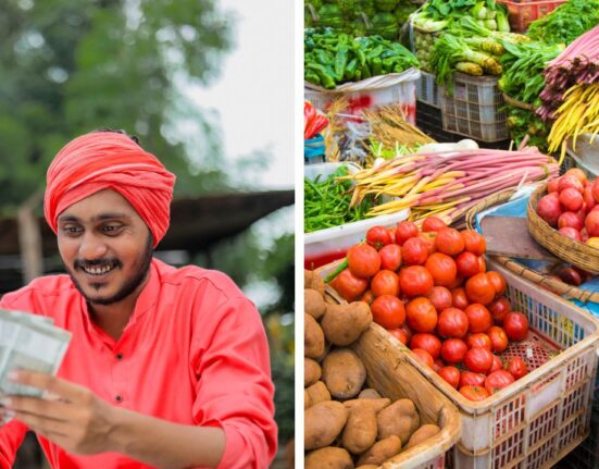 How much Indian farmers earn for fruits and vegetables in supply chain