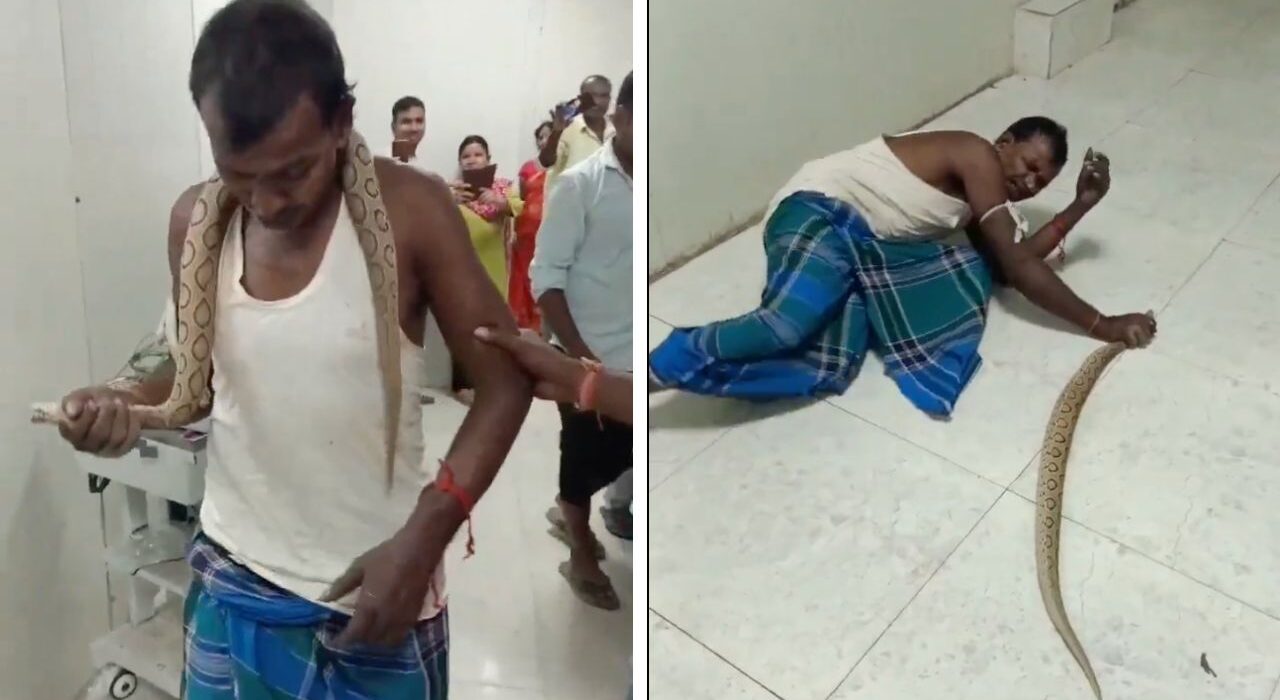 Video goes viral: Bihar man bit the snake and brought it into the hospital