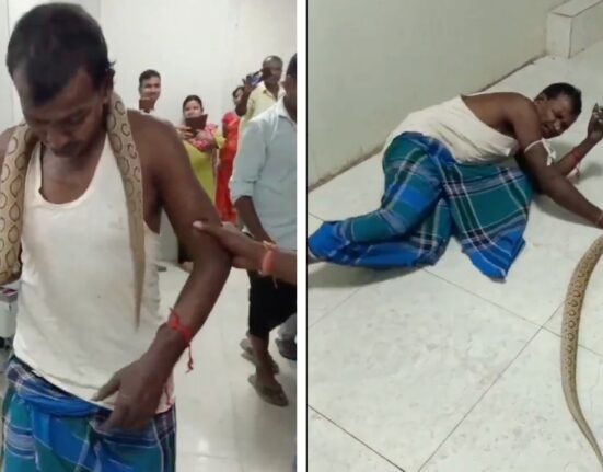 Video goes viral: Bihar man bit the snake and brought it into the hospital