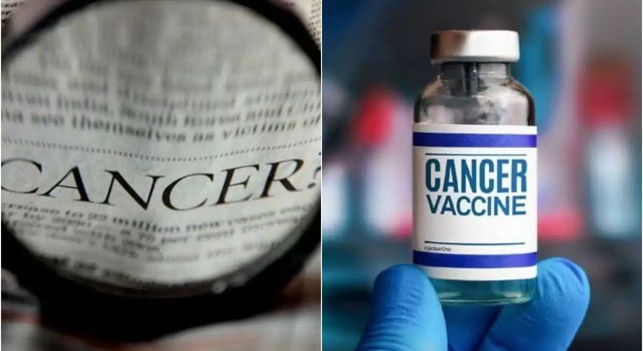 Russia announces free of cost cancer vaccine with AI, to be available from January 2025