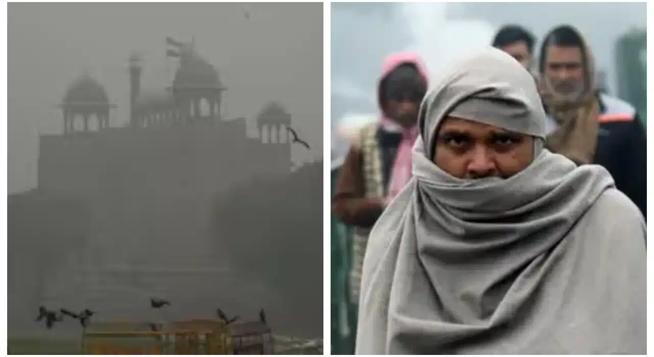 Freezing nights and foggy mornings: Cold waves continue to grip Delhi NCR, Punjab, and Haryana