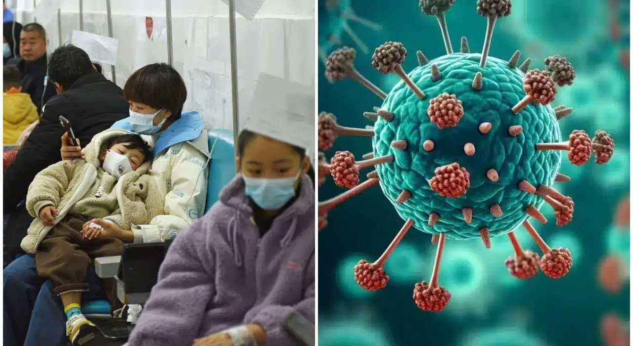 Human Metapneumovirus (HMPV) Outbreak in China: Symptoms, Spread, Risks, Treatment, and Everything You Need to Know