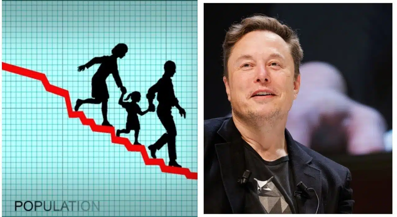 Elon Musk fears global population decline: India, Pakistan, and Indonesia among major victims